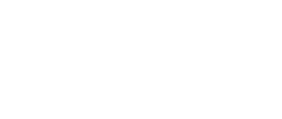 Stauss Immobilien ist Sponsor bei Sportfreunde Eintracht Freiburg