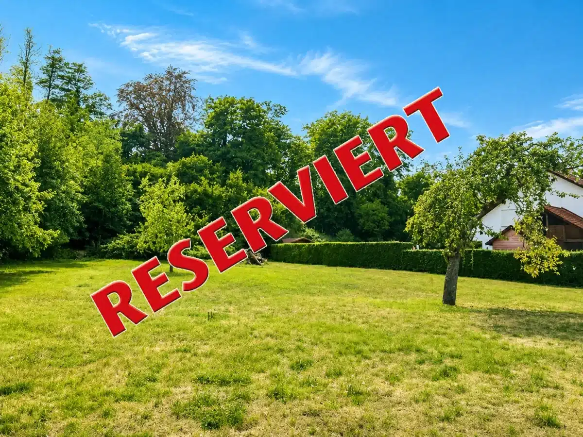 Real Estate Title Image Background