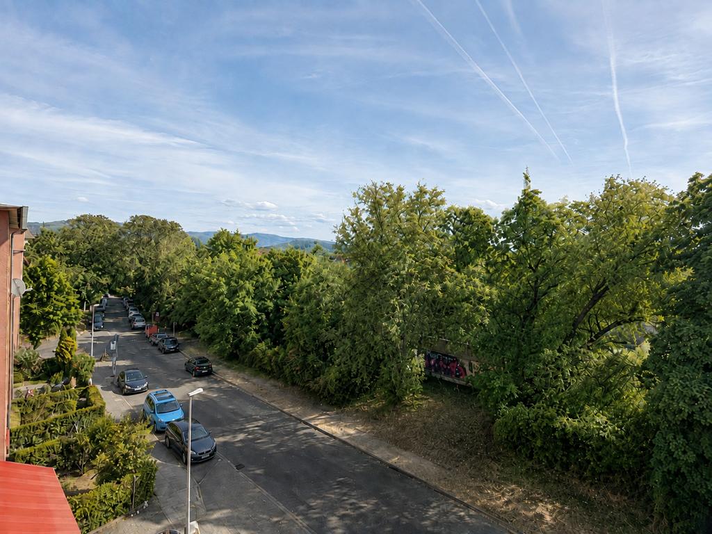 Blick vom Balkon über die Baumkronen bis zu den Höhenzügen am Horizont