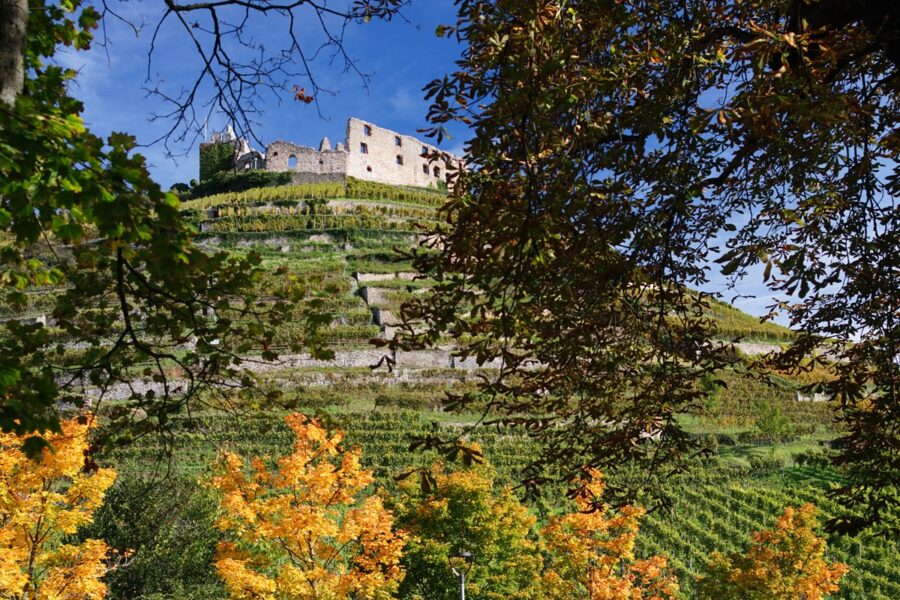 Baugrundstücke in einzigartiger und exklusiver Aussichtslage von Staufen - Staufener Burg